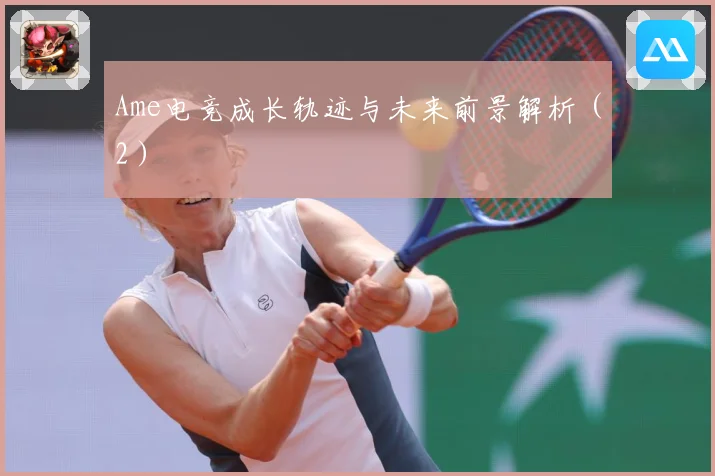 Ame电竞成长轨迹与未来前景解析（2）