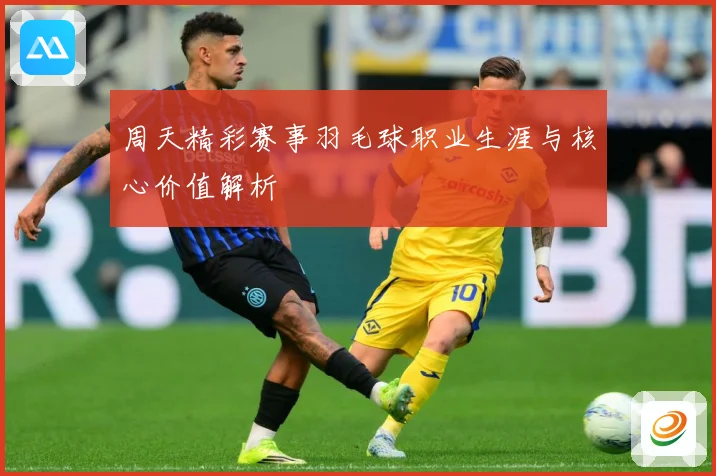 周天精彩赛事羽毛球职业生涯与核心价值解析